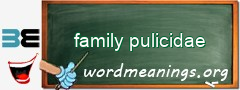 WordMeaning blackboard for family pulicidae